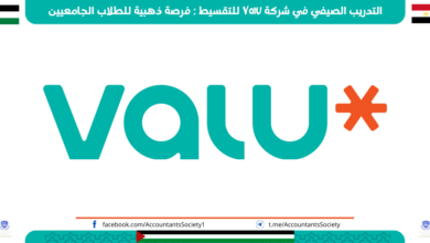 التدريب الصيفي في شركة Valu للتقسيط : فرصة ذهبية للطلاب الجامعيين