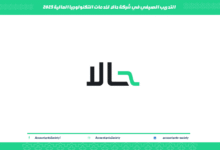 التدريب الصيفي في شركة حالا لخدمات التكنولوجيا المالية 2025