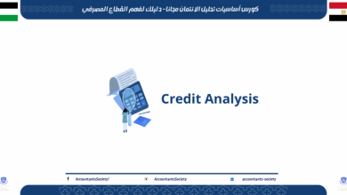 كورس أساسيات تحليل الائتمان مجانا - دليلك لفهم القطاع المصرفي