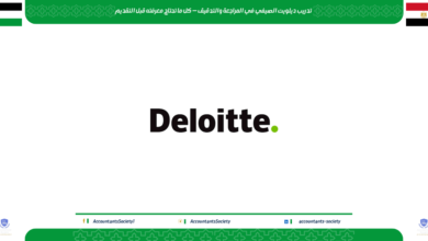 تدريب ديلويت القاهرة في المراجعة والتدقيق — كل ما تحتاج معرفته قبل التقديم