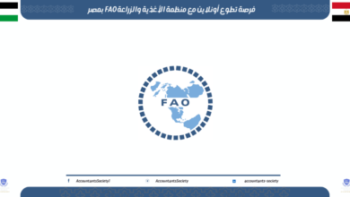 فرصة تطوع أونلاين مع منظمة الأغذية والزراعة FAO بمصر